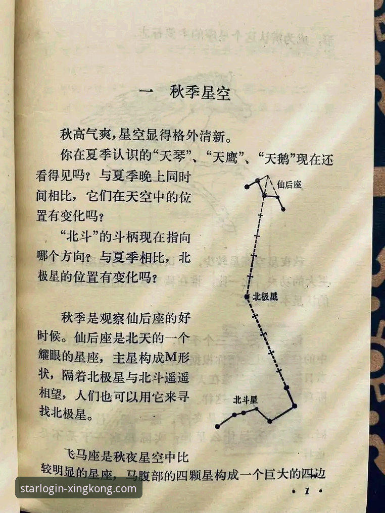 新手必看！星空官网体验的5个关键技巧与3步快速入门指南