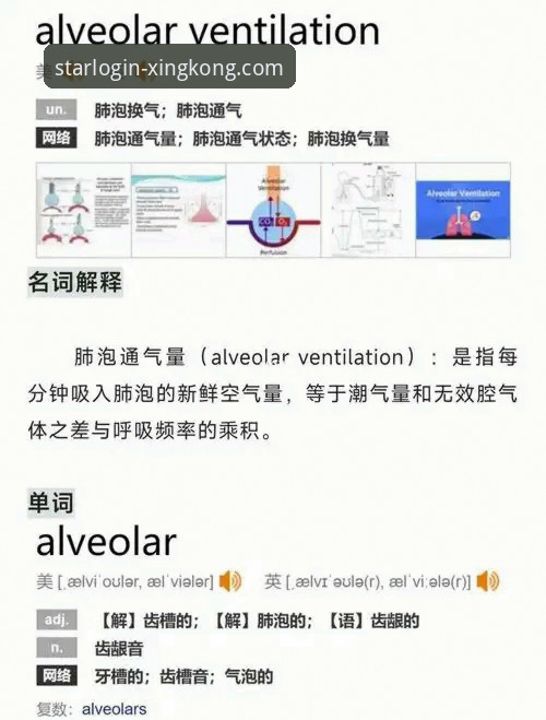 7项核心指标评估星空官网安全性及完整使用指南