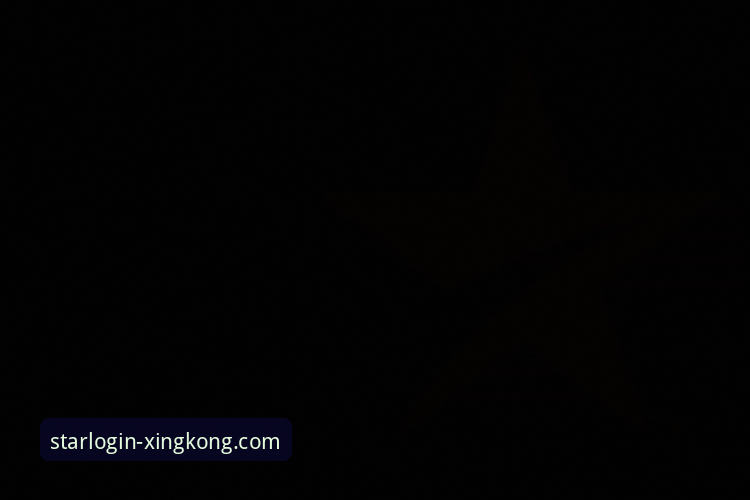 星空娱乐平台PC版完整使用指南——从下载到登录一步到位
